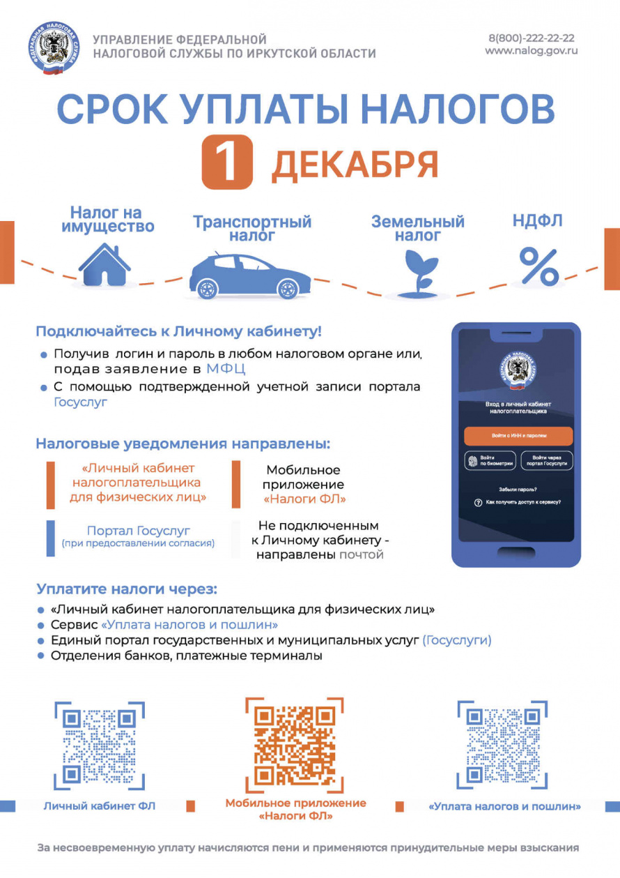 Срок уплаты налогов - 1 декабря
